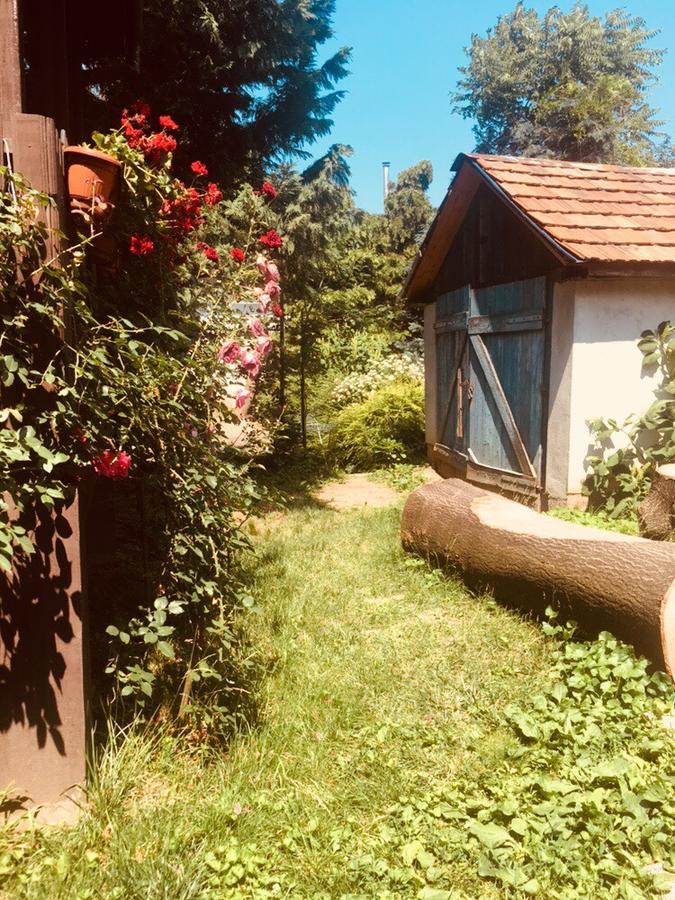 Hotel Rozsakert Panzio Nyíregyháza Esterno foto